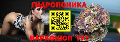 амф Анапа