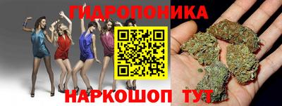 стафф Анжеро-Судженск