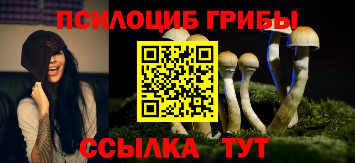Псилоцибиновые грибы мицелий  Вход с VPN  Ипатово 
